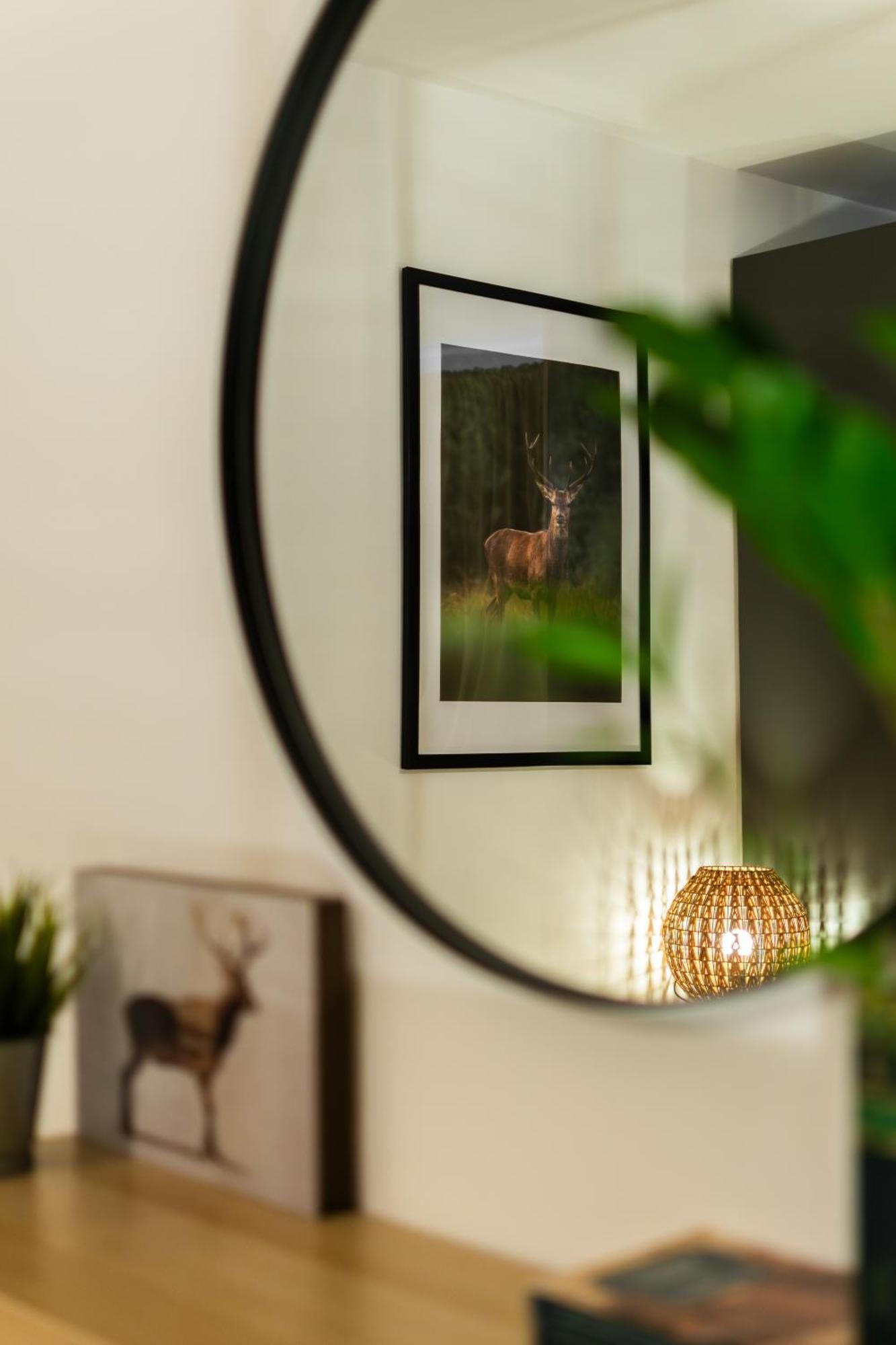 סינאיה The Cozy Deer Apartment מראה חיצוני תמונה